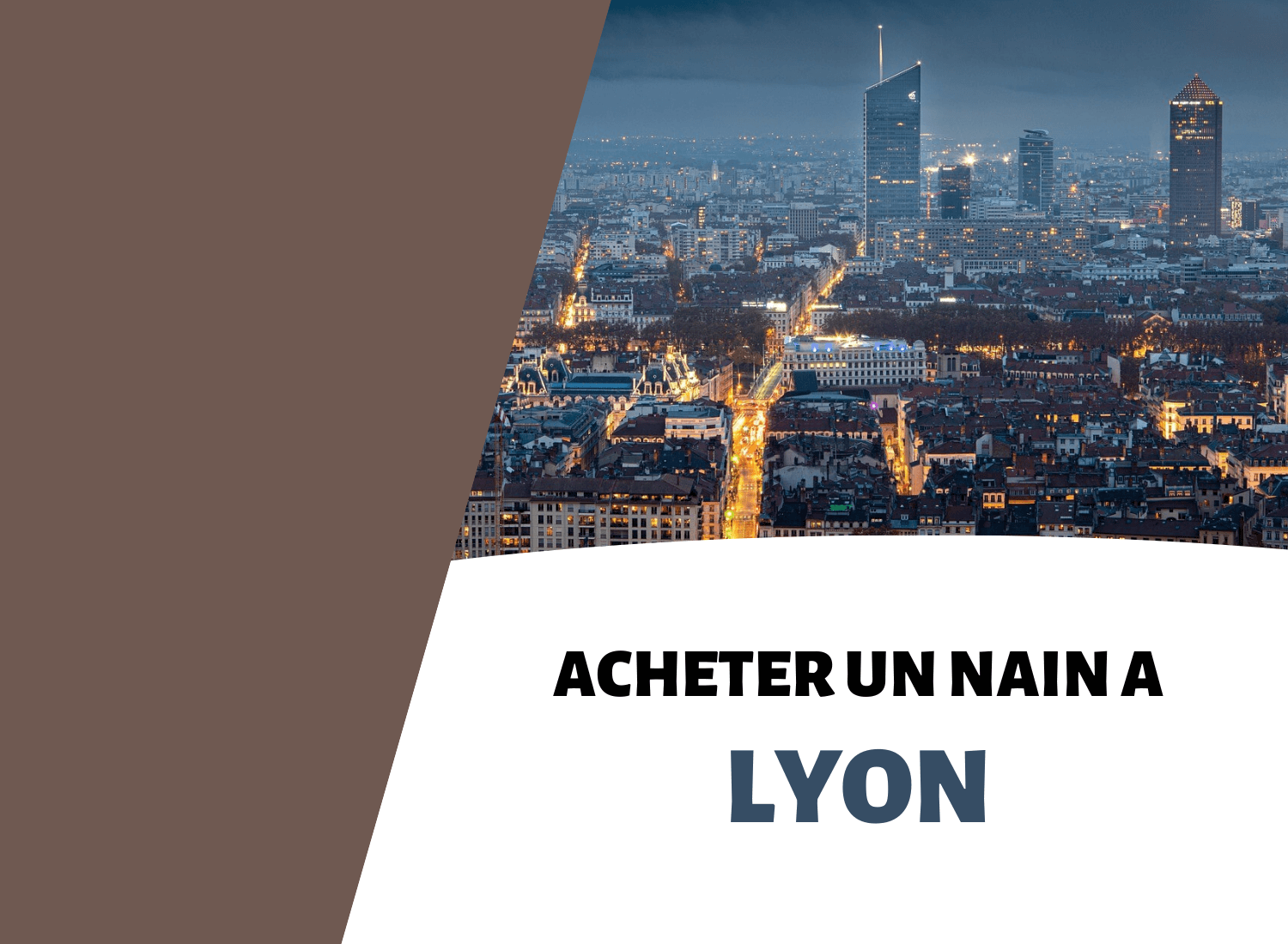 Où acheter des nains de jardin à Lyon ?