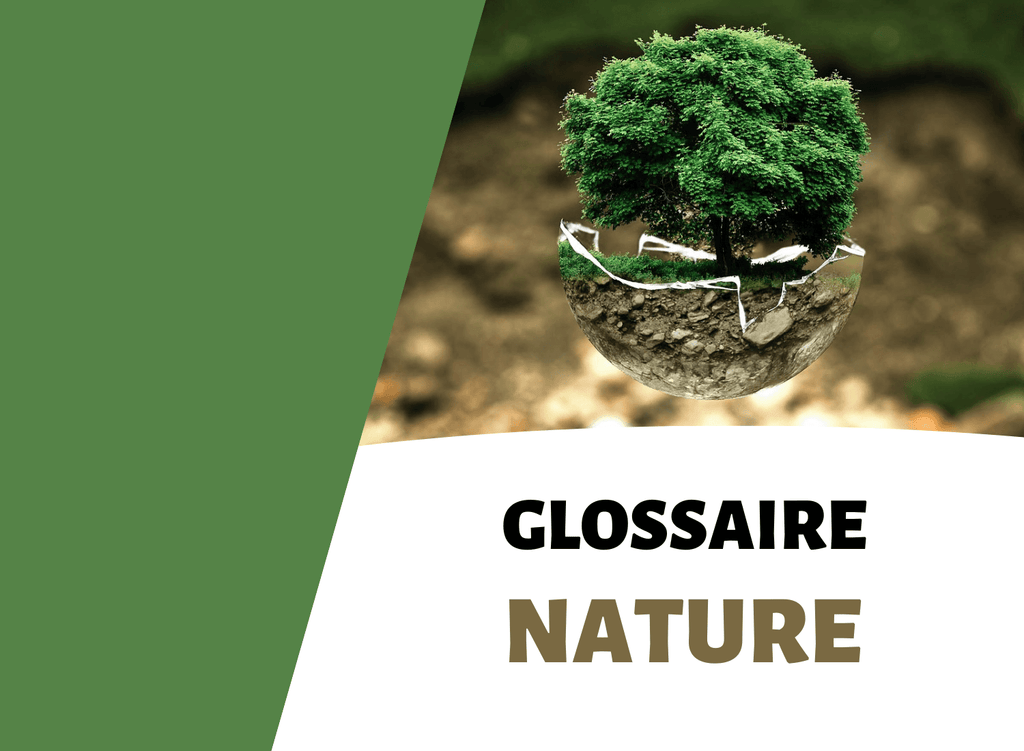 glossaire nature