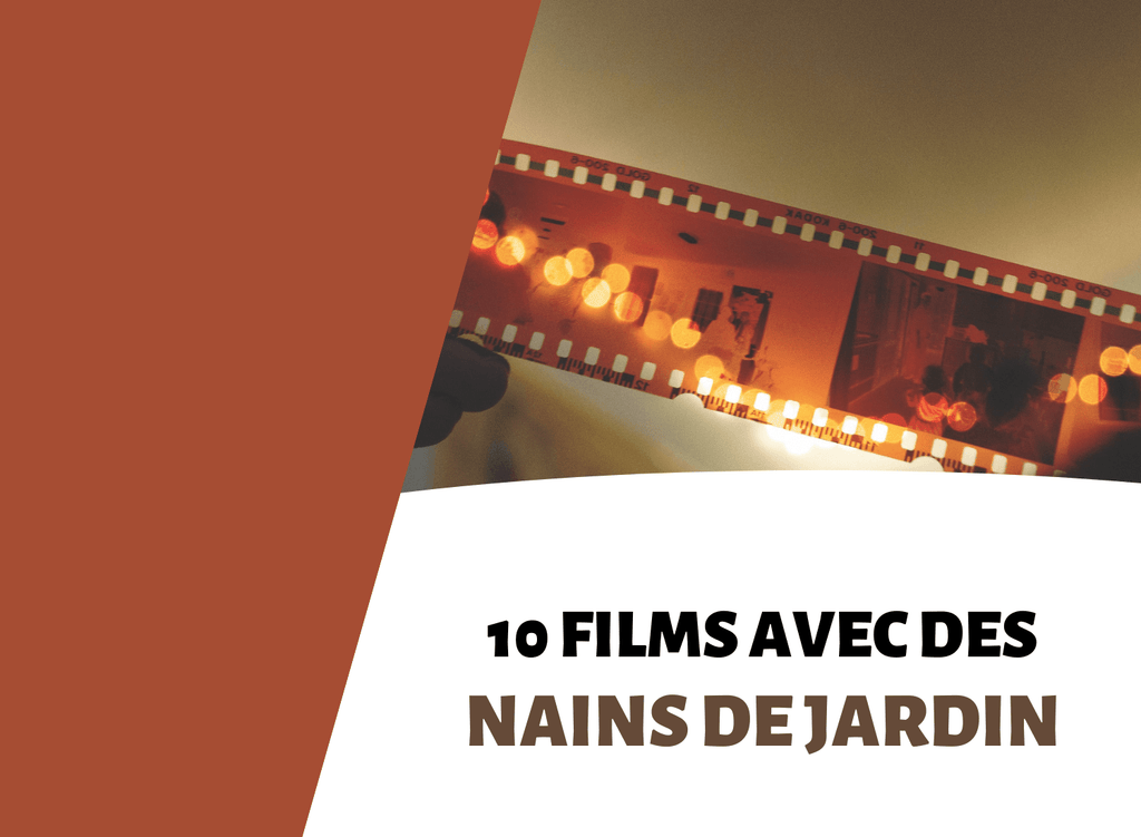 FILM AVEC NAIN DE JARDIN